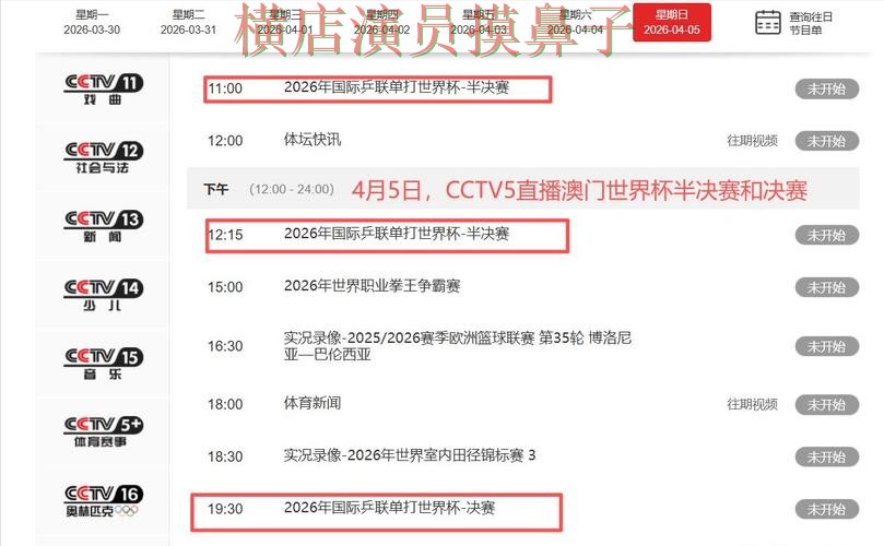 新手必看：世界杯投注平台合集直播入口详解 + 世界杯直播